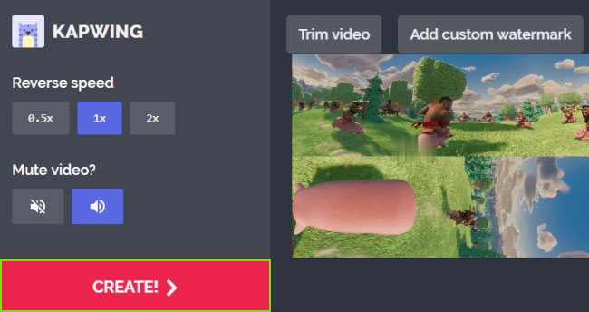 use Kapwing to reverse a video